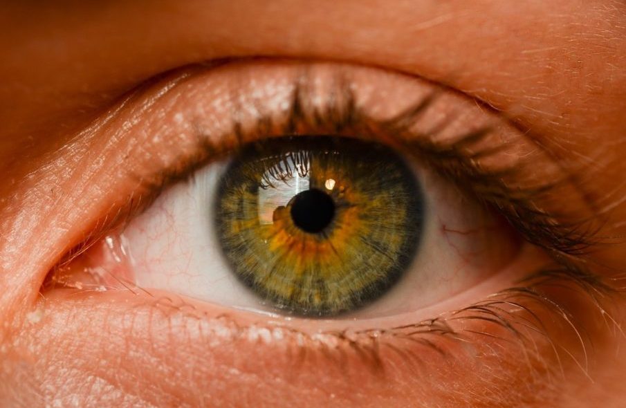 eye-2681783_1920